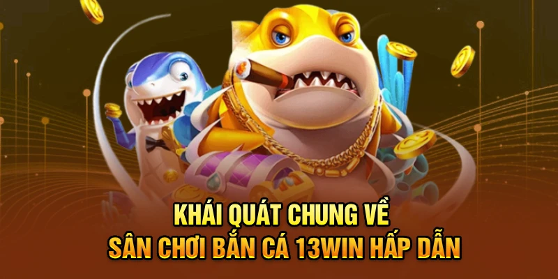 Khái quát chung về sân chơi bắn cá 13win hấp dẫn