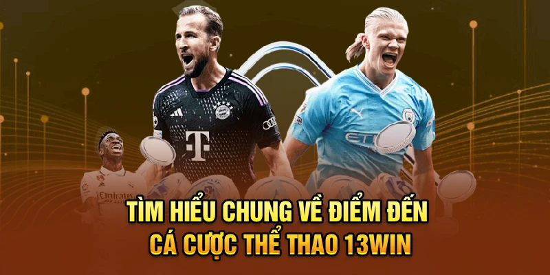 Tìm hiểu chung về điểm đến cá cược thể thao 13win